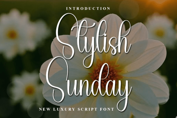 Stylish Sunday: A Friendly Script Font for Crafters