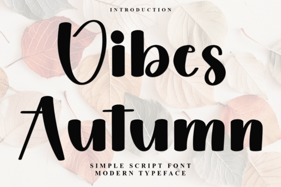 Vibes Autumn Typeface: A Festive Script for Web Designers